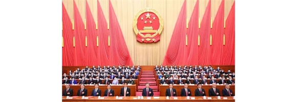 青联委员学习全国两会精神